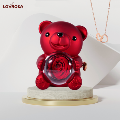 Teddy bear jewelry box and eternal rose