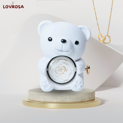 Teddy bear jewelry box and eternal rose
